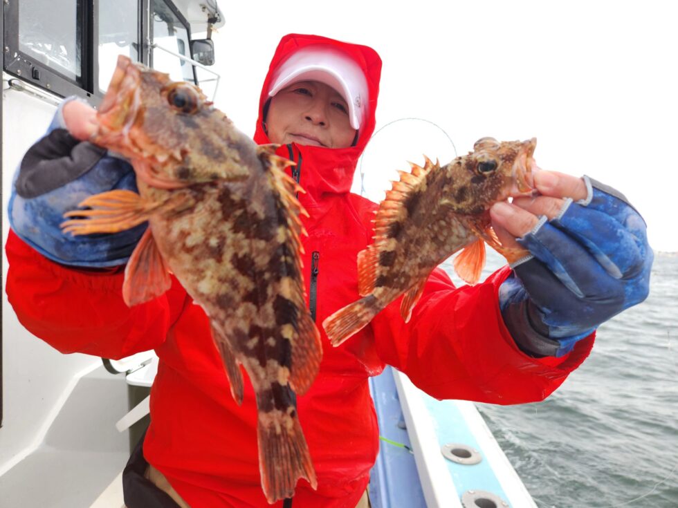 ウタセ五目出船！活きウタセエビたっぷり入荷中