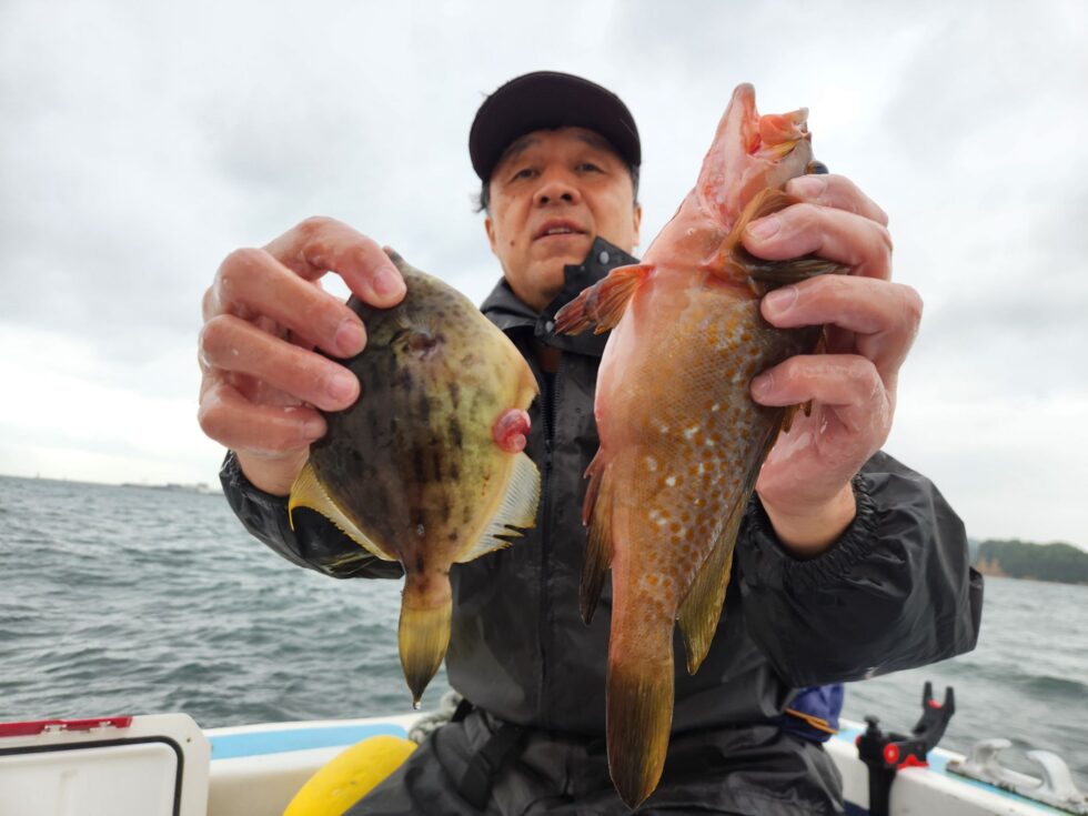 カワハギ、キジハタ！