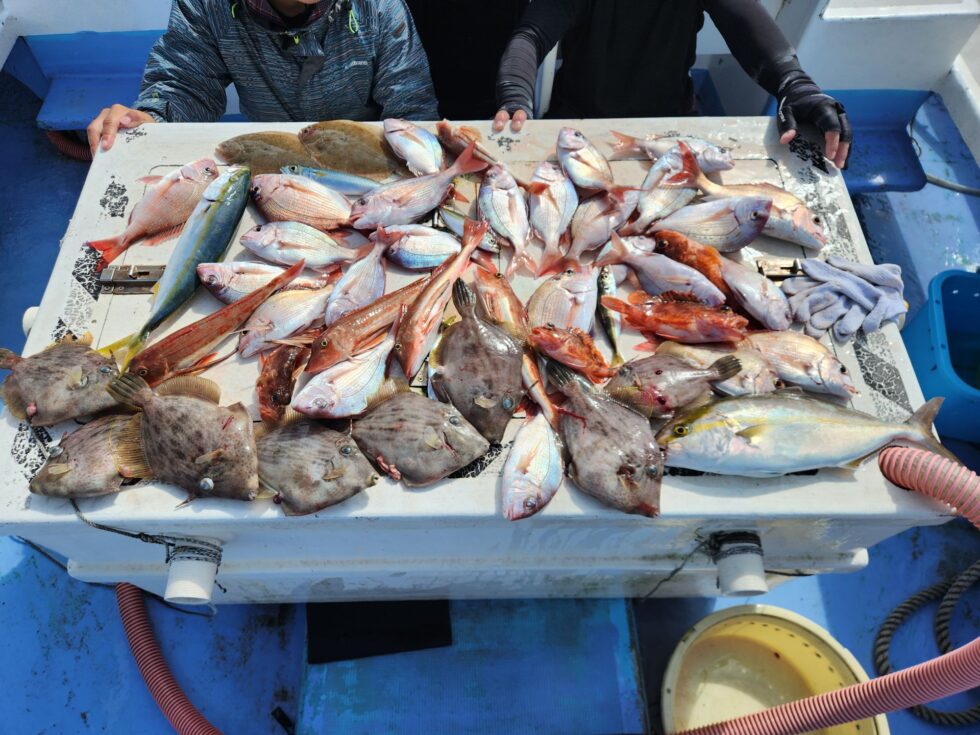 多彩な高級魚が入れ食い!