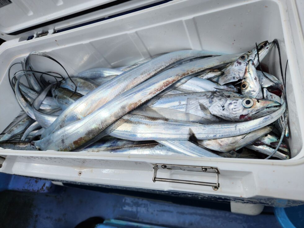 当たりっぱなし!