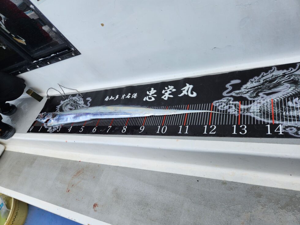 135㎝スーパードラゴン！