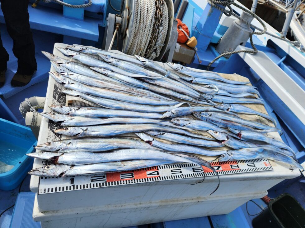 おすそわけありがとうございます！