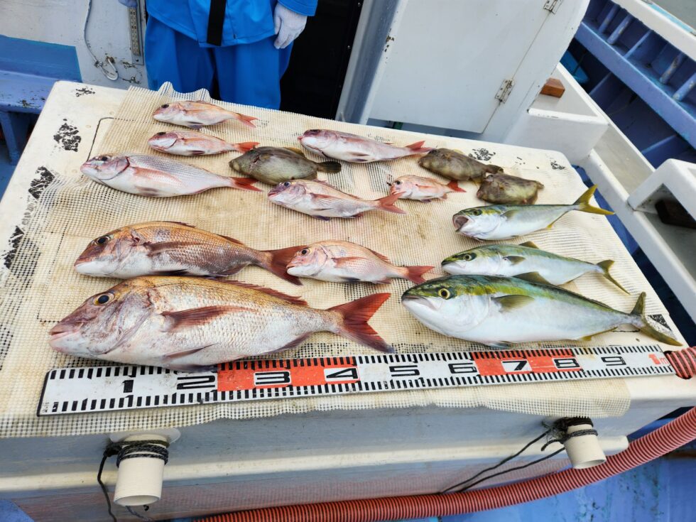 素晴らしい釣果!
