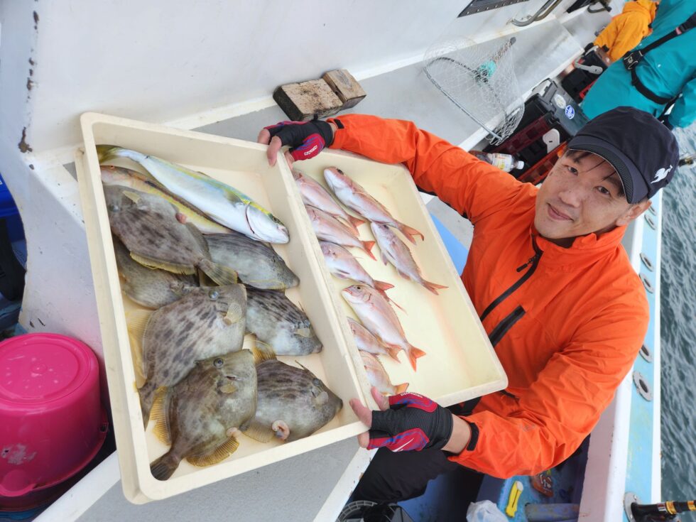 カワハギ釣りまくりー!