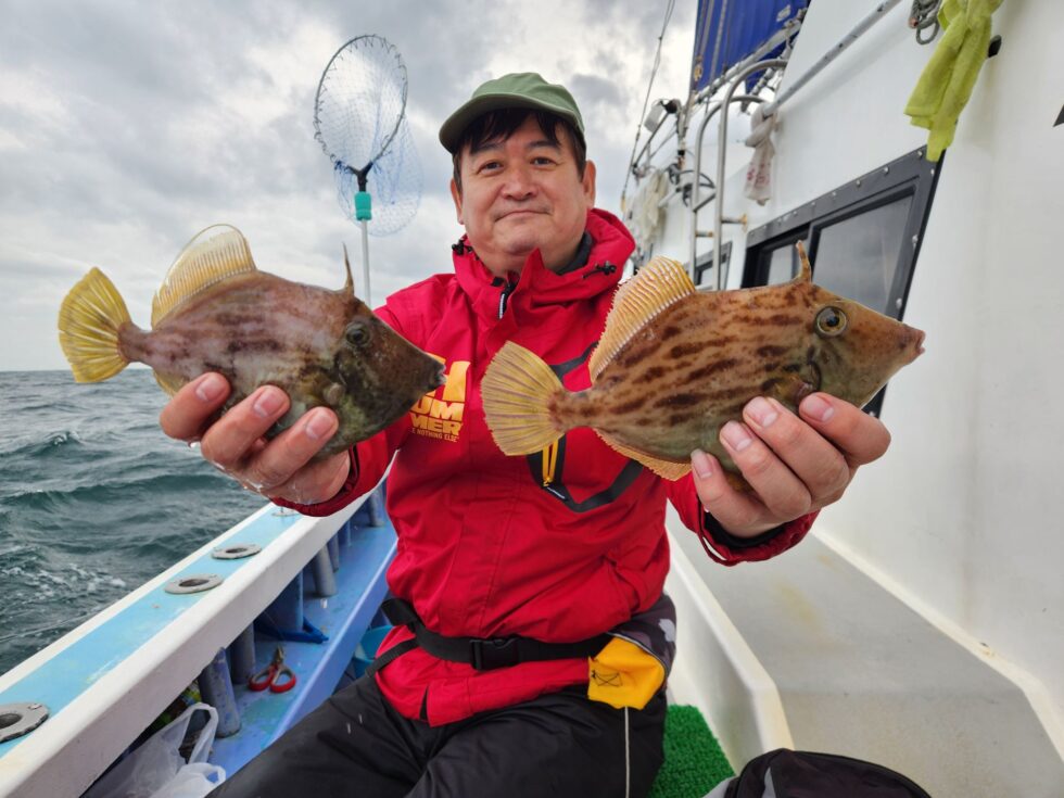 カワハギが良いです！