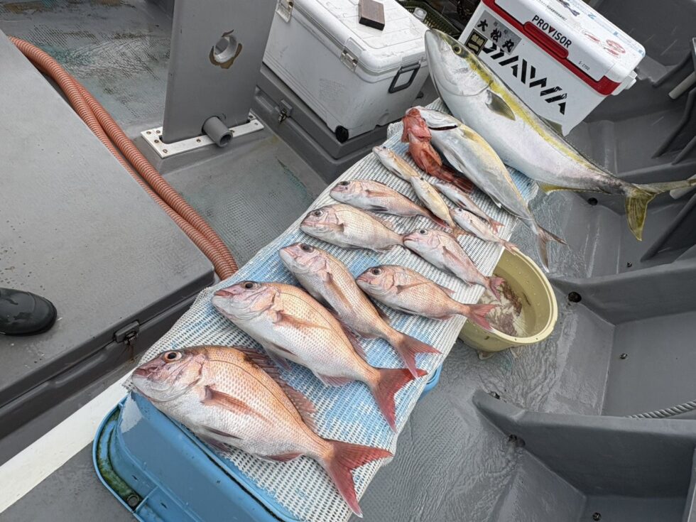一つテンヤ真鯛釣り予約受付中！