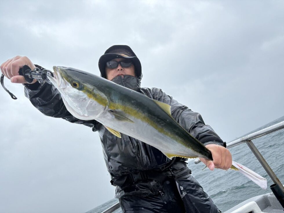 ワラサ！ライトタックルで面白すぎる！