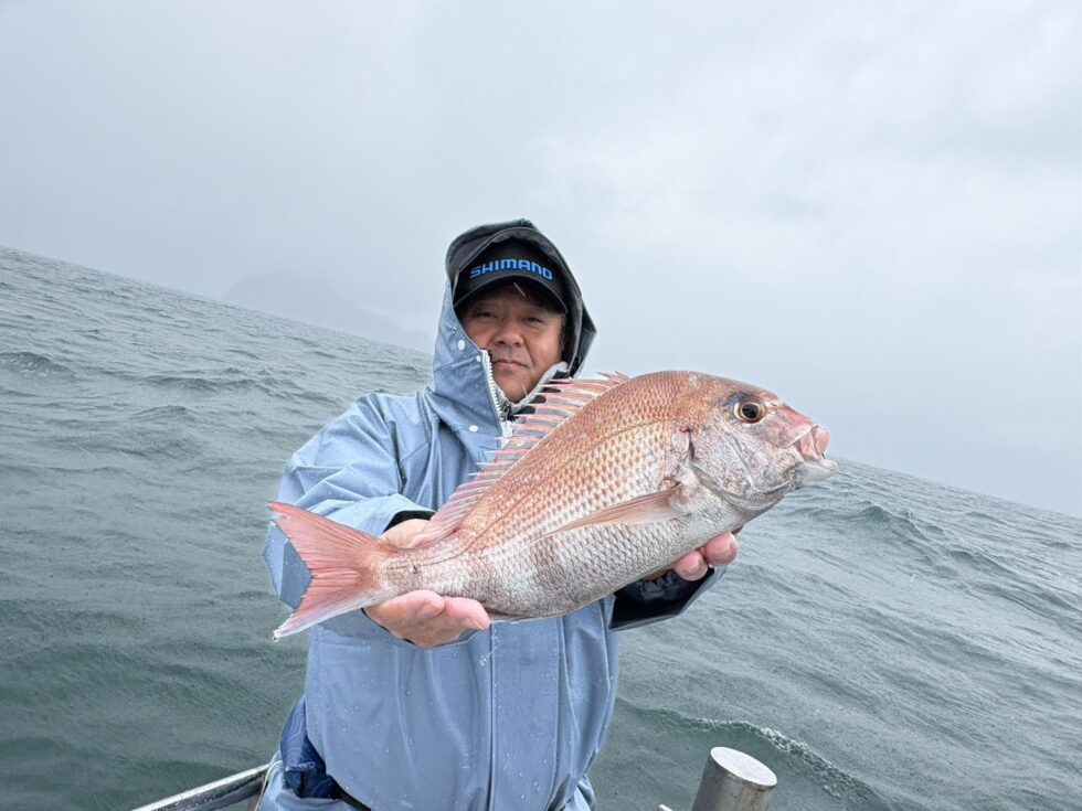 べっぴんの真鯛が大チャンス！