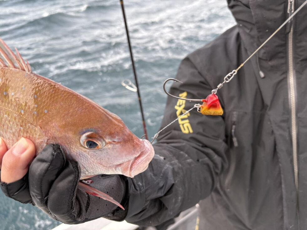 明日(木)タチウオ船、ウタセ五目船、出船確定
