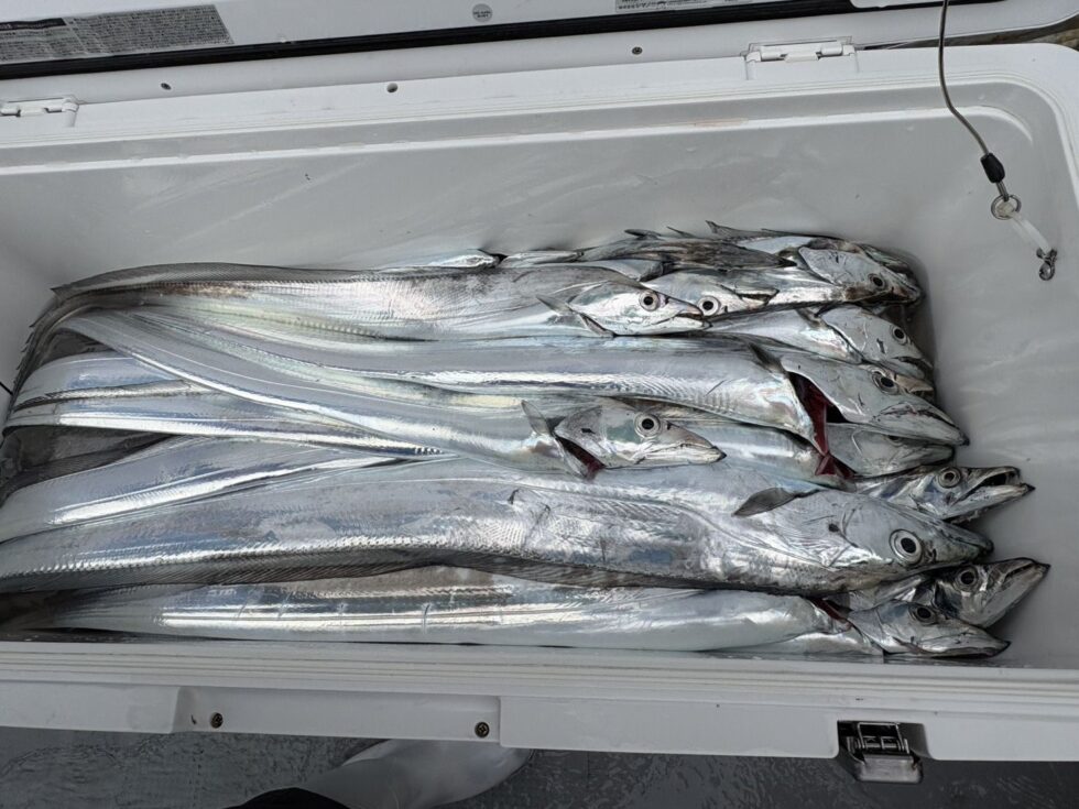 満タンに近い方何人も登場です。