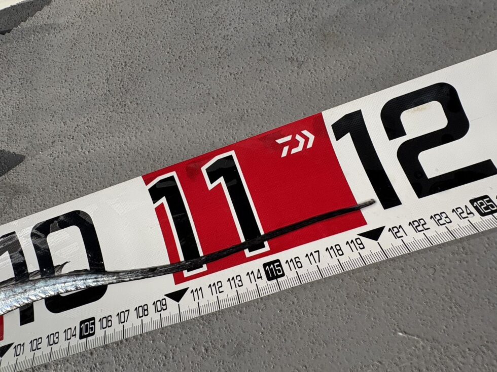 ドラゴン復活っ！