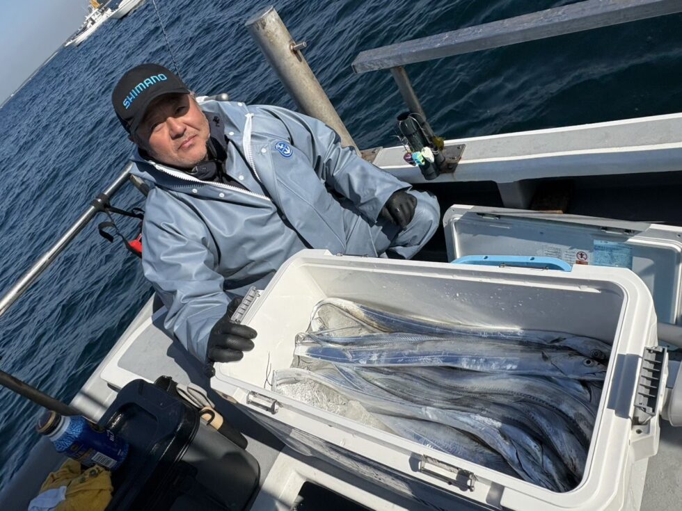 数もあがりました!