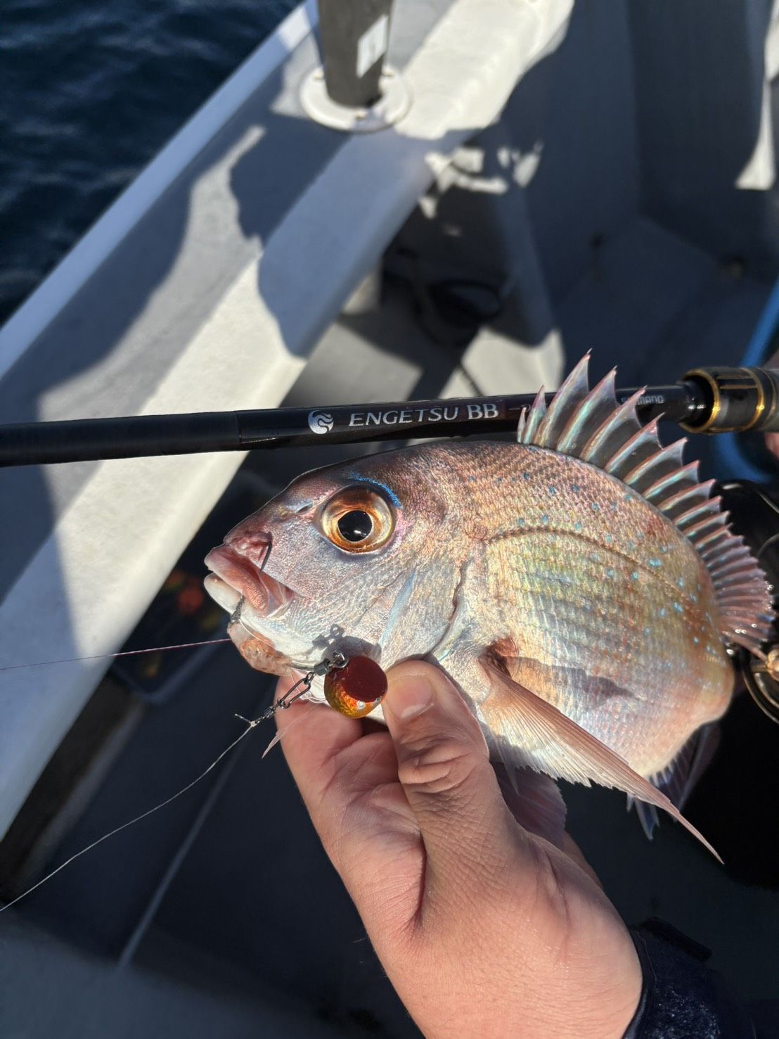 ライトタックルでのやりとりは最高ですよ！