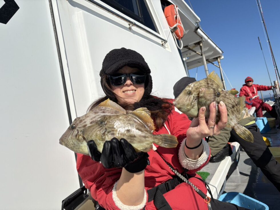 肝パンカワハギ釣りまくりー！