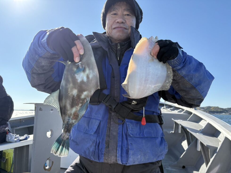 ウマヅラハギ！