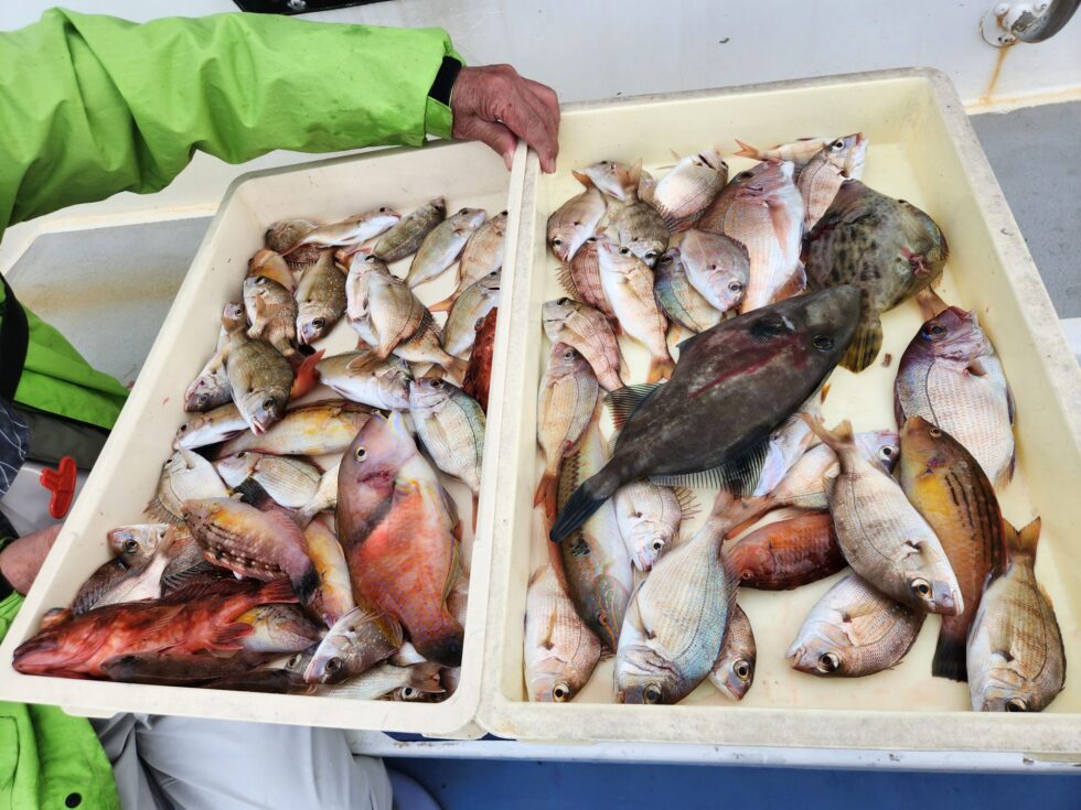 入れ食い状態！