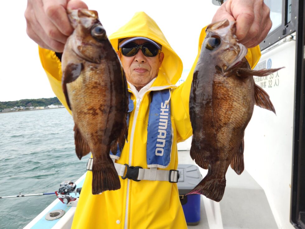 港前、大型メバル!