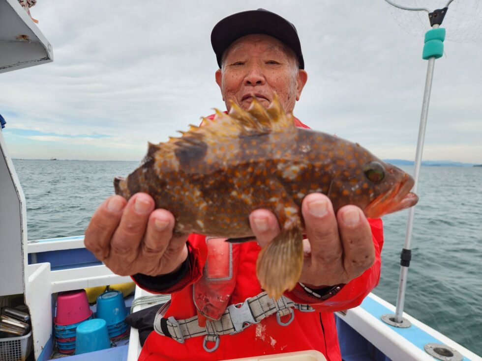 港前はキジハタの宝庫!