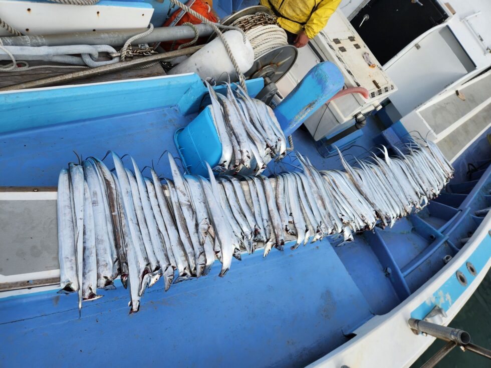 終日入れ食い状態!