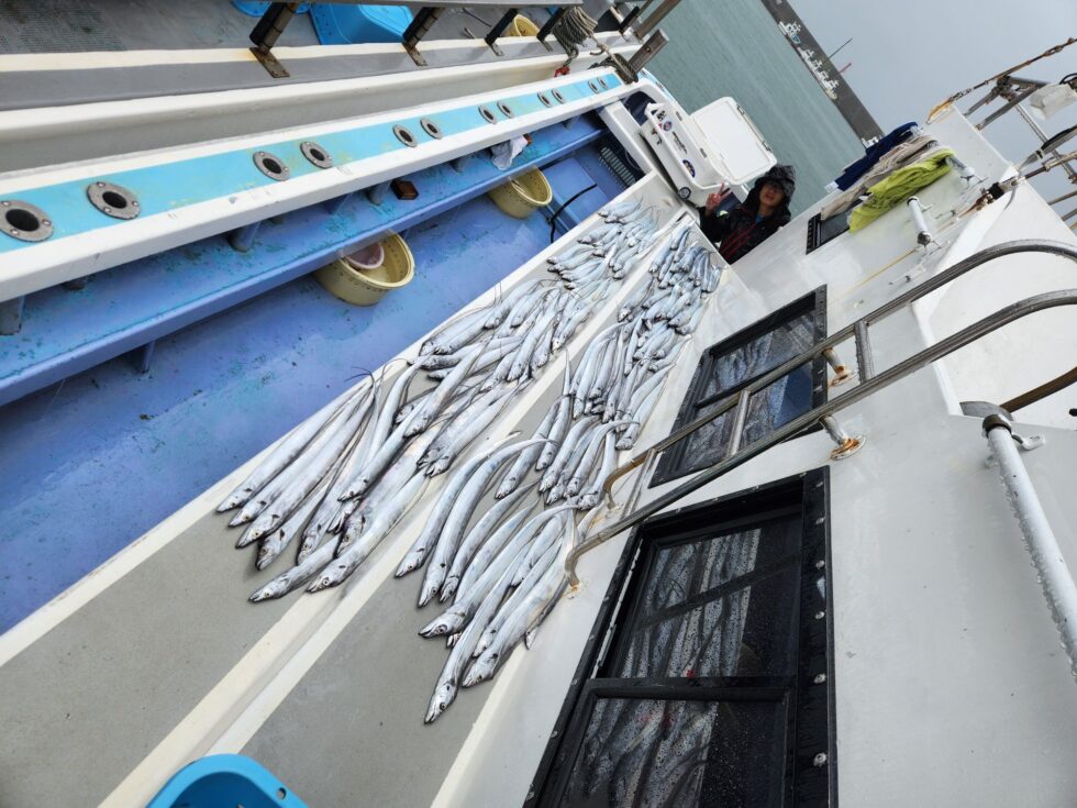 一つテンヤ真鯛船、タチウオ船、ウタセ五目船、予約受付中！