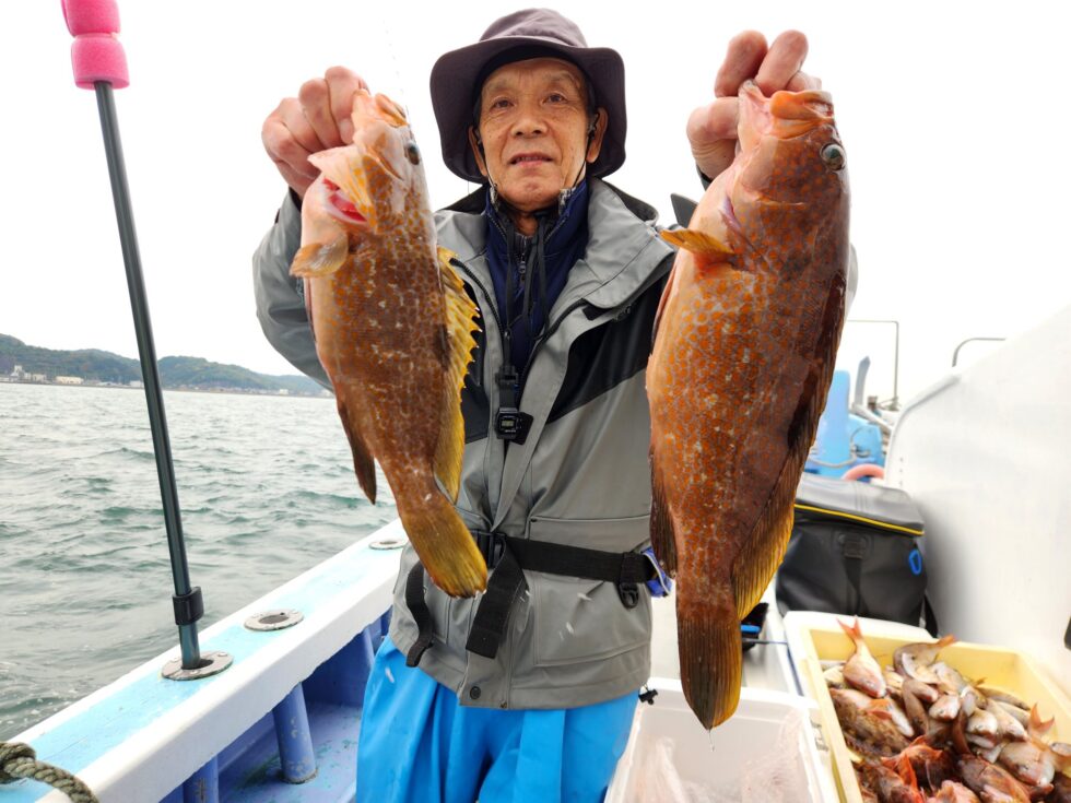 キジハタ乱舞!今日も港前は激アツ!