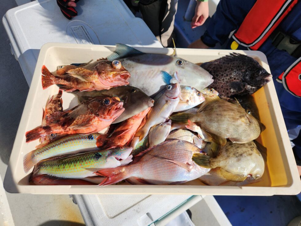 ウタセ五目、アタリ多発で面白い!