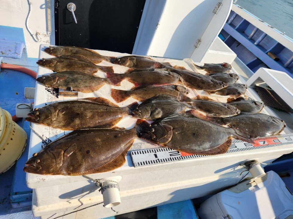 今後も楽しみなイワシ泳がせ船です！