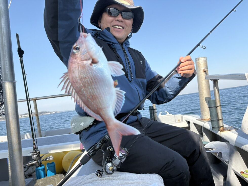 真鯛、良いサイズ！