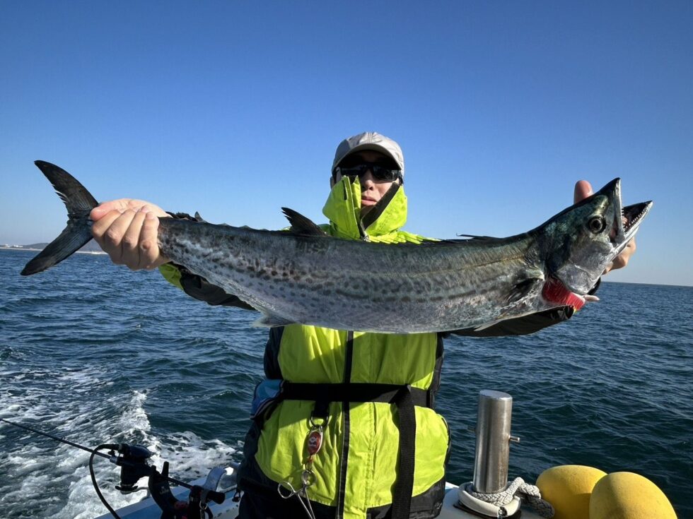 大型サワラが嬉しい!