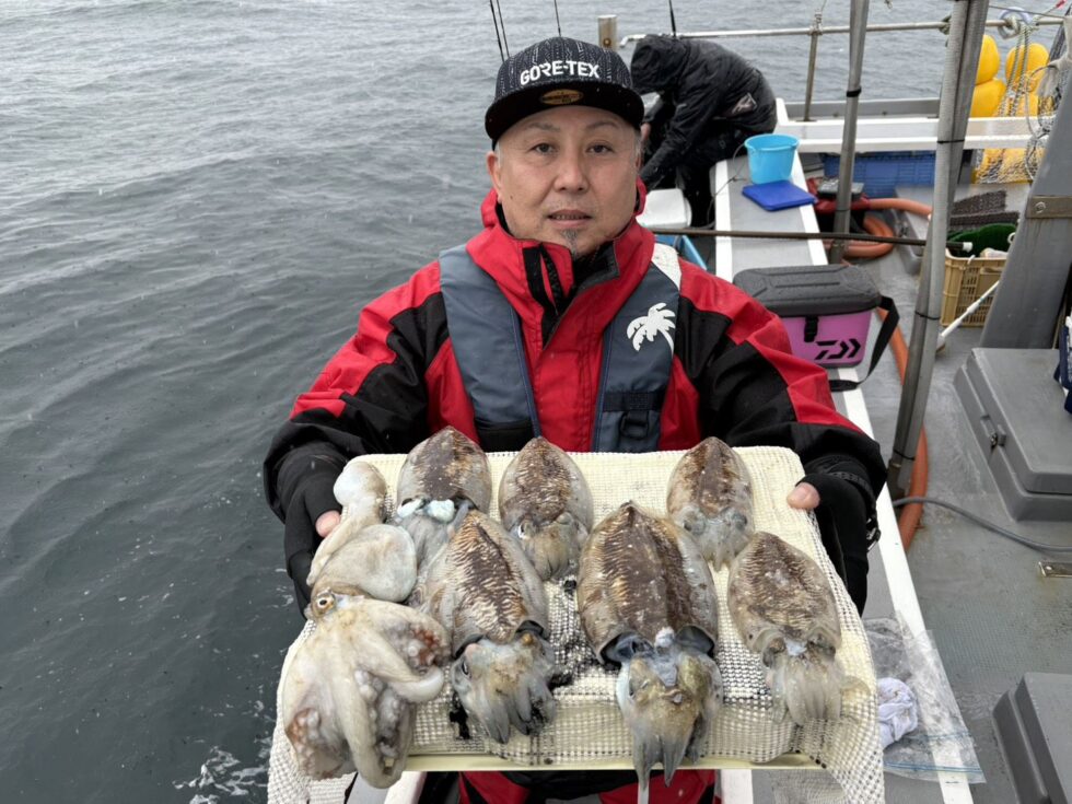 今日もコウイカ爆発！善は急げ！
