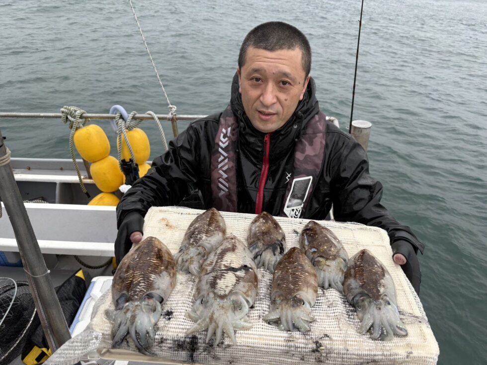 コウイカ船！連日絶好調ー！