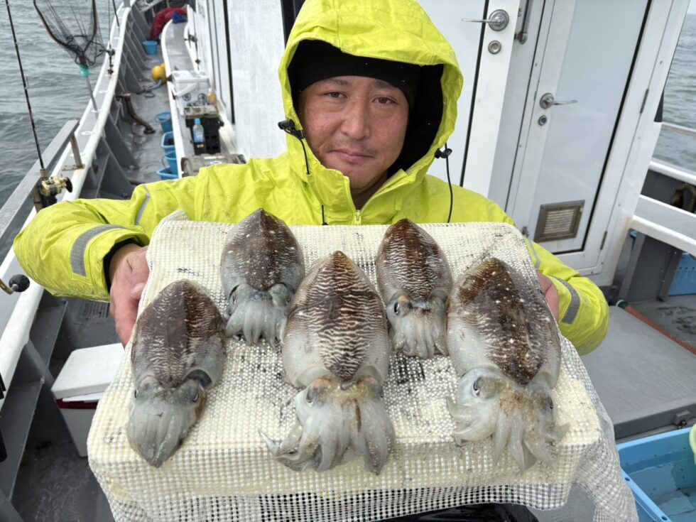 コウイカ大チャンス！