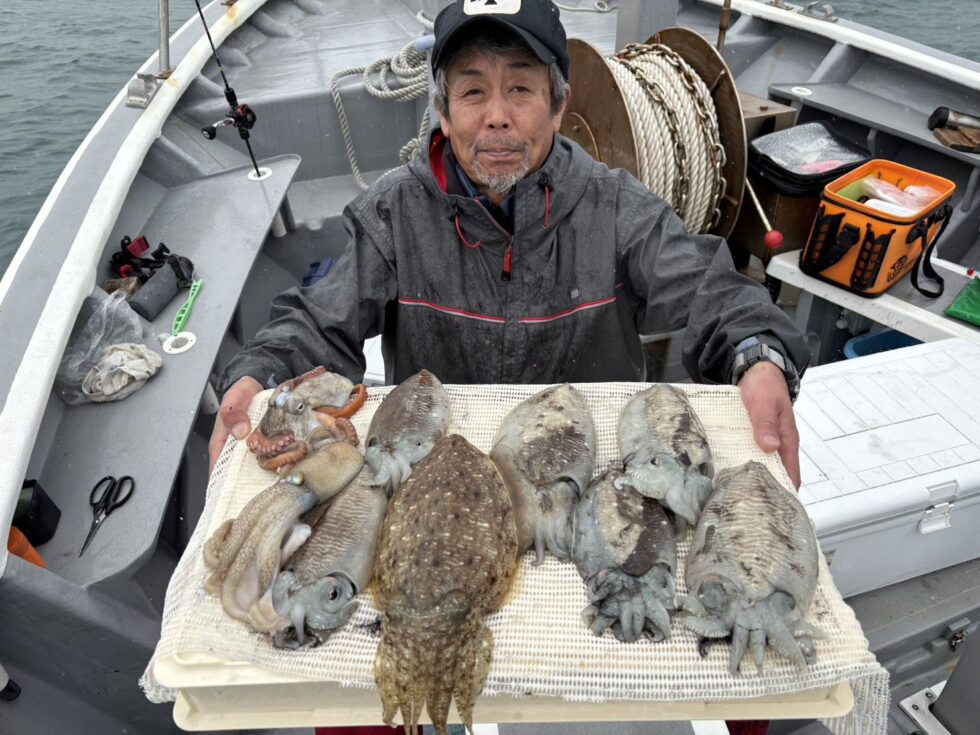 大型コウイカ釣りまくり！