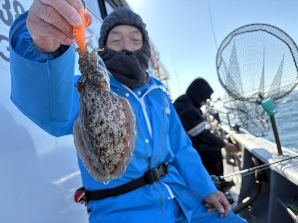 明日(月)泳がせ船、コウイカ船、出船確定