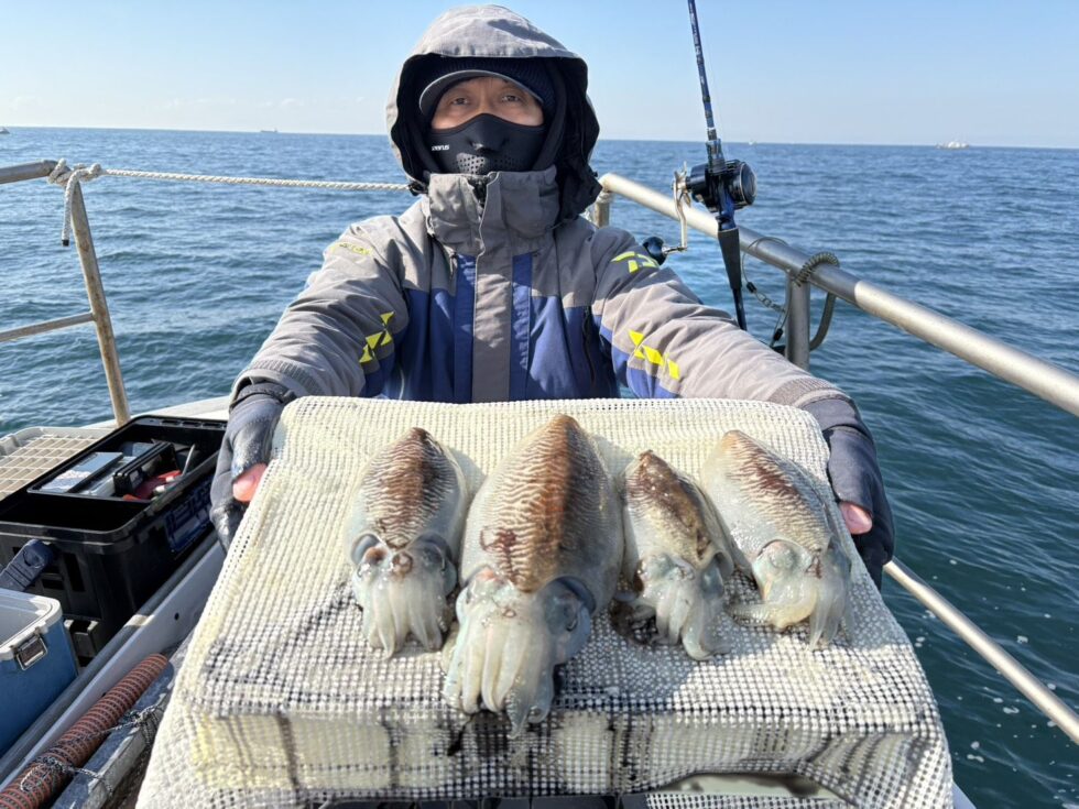 絶品コウイカチャンス！