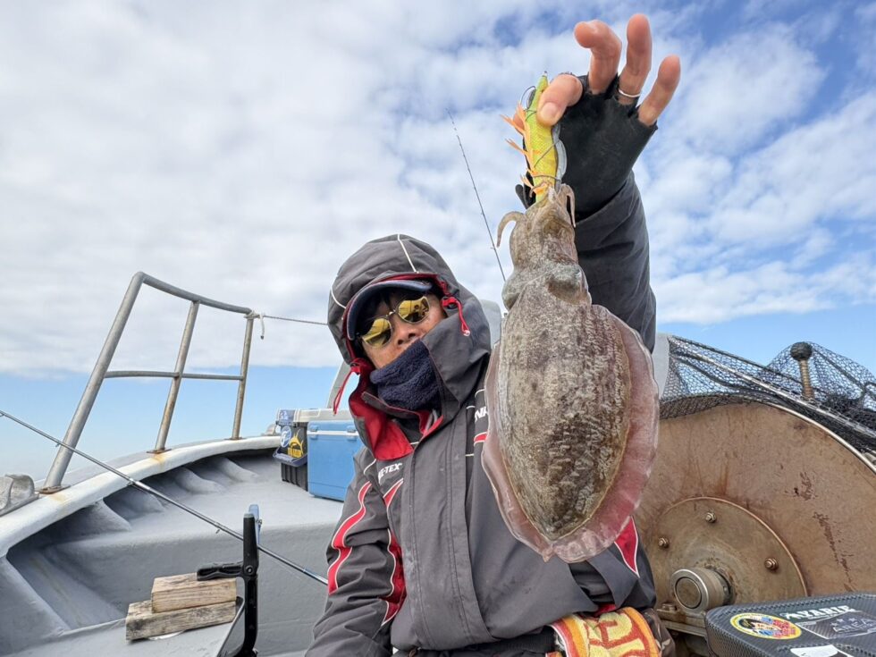 肉厚コウイカ！