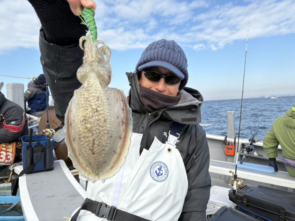 コウイカ大人気！