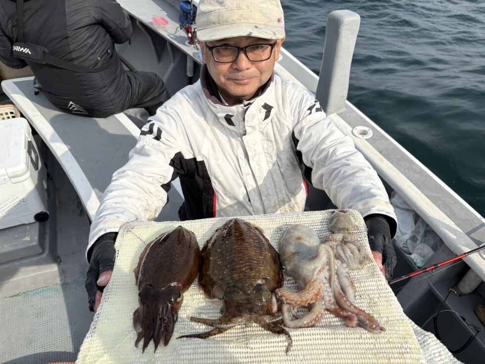 昨日のコウイカ写真です。