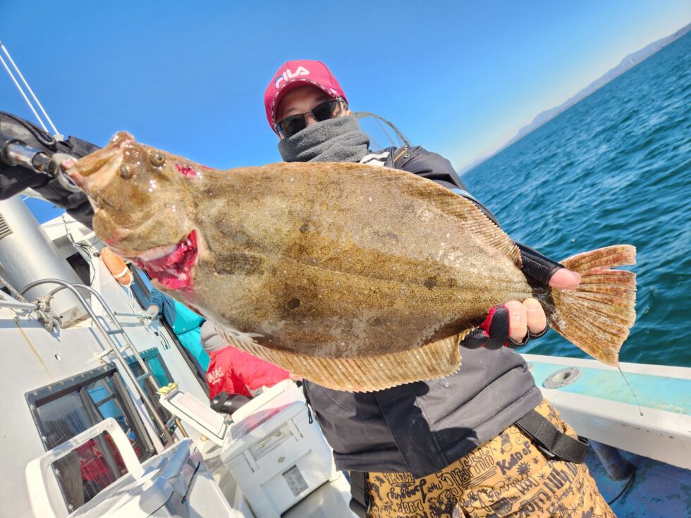 イワシ泳がせ船!肉厚ヒラメ乱舞!