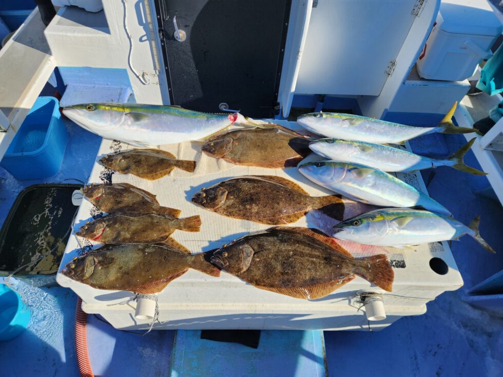 旬のヒラメ、青物!