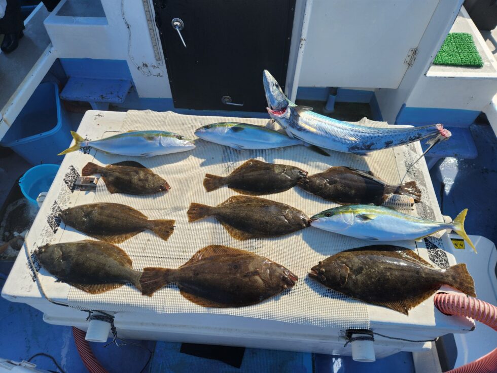 明日(月)泳がせ船出船確定しました。朝の飛び入りOKです。
