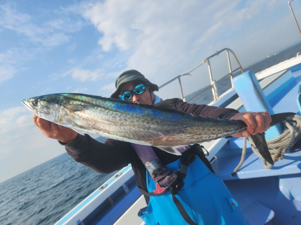 大人気のサワラ！