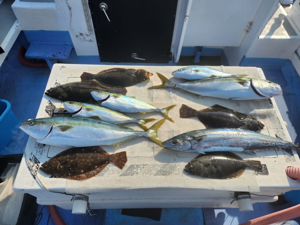 泳がせ釣り好調ー！