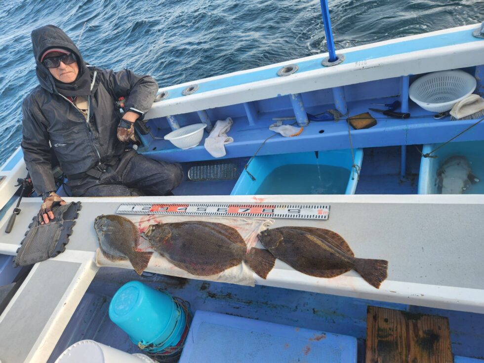 ヒラメチャンス!