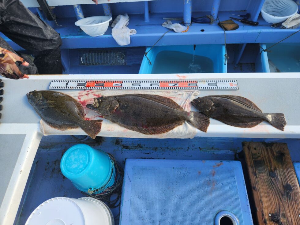 明日からも楽しみです!予約お待ちしてます。