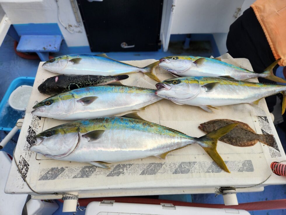 明日からも楽しみです！朝の飛び入りOKですよ