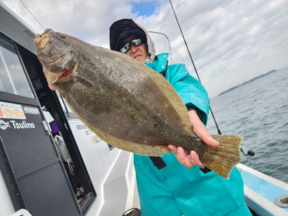 泳がせ船、大型ヒラメ乱舞！