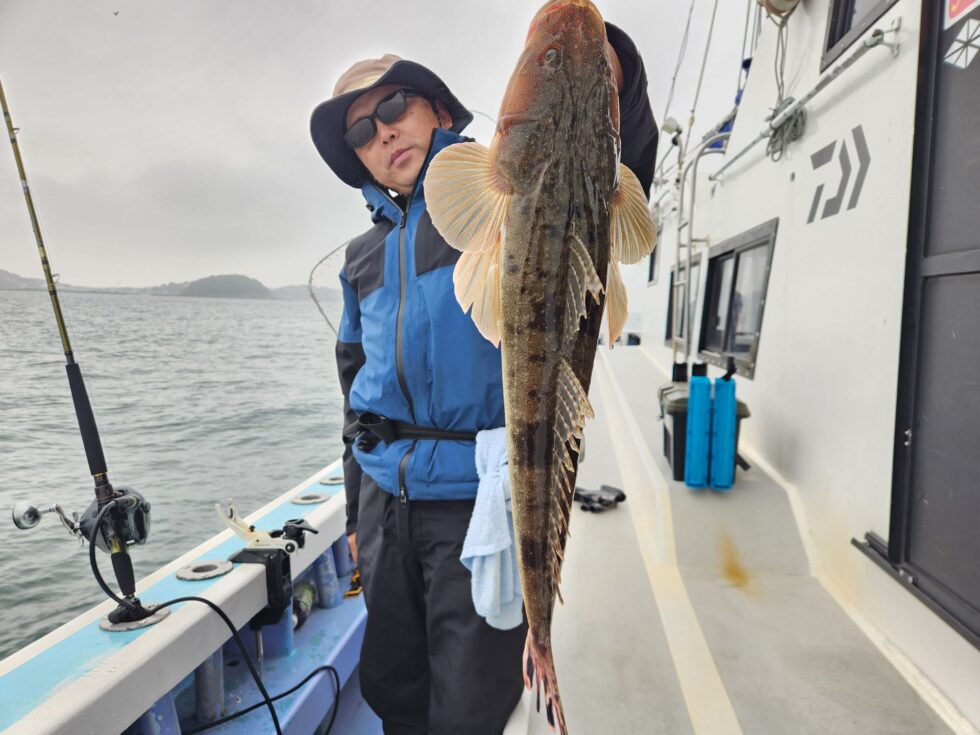 コウイカ釣り、泳がせ釣り、予約受付中！