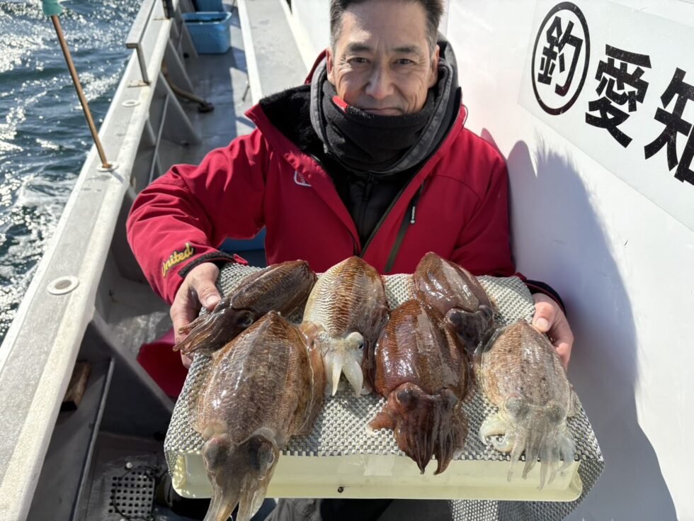 肉厚コウイカ今日ものりのり！
