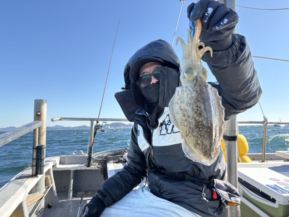 明日(土)泳がせ船、コウイカ船、出船確定です！